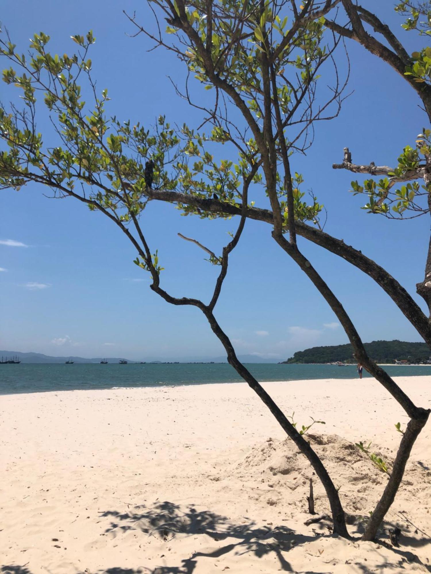 Ap Amplo Com Vista Para Mar Com 3 Suites Florianópolis Exteriér fotografie